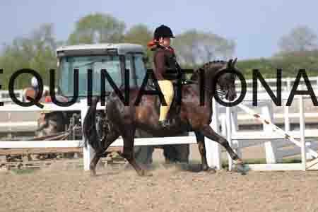 LOT-2138