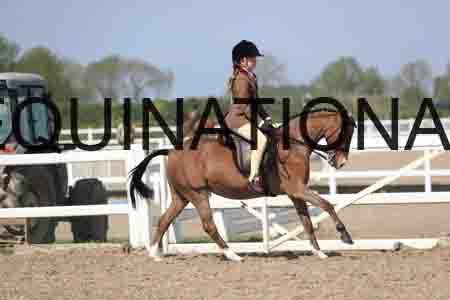 LOT-2141