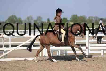 LOT-2142