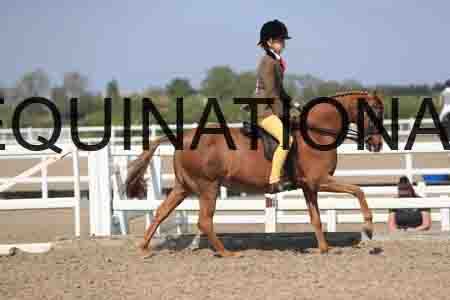 LOT-2144