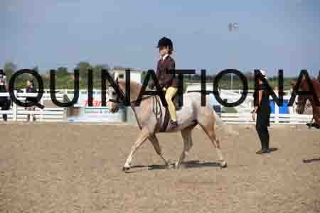 LOT-2151
