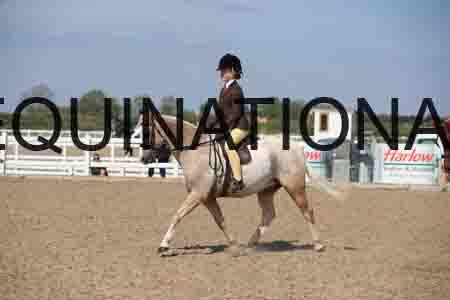 LOT-2152