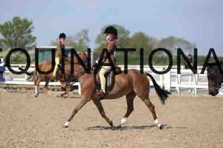 LOT-2160