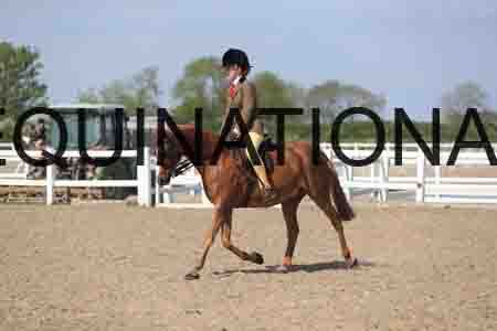 LOT-2162