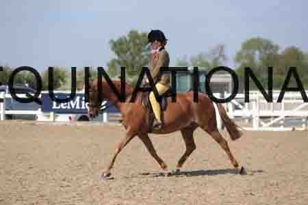 LOT-2163