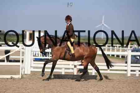 LOT-2171