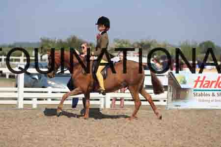 LOT-2173