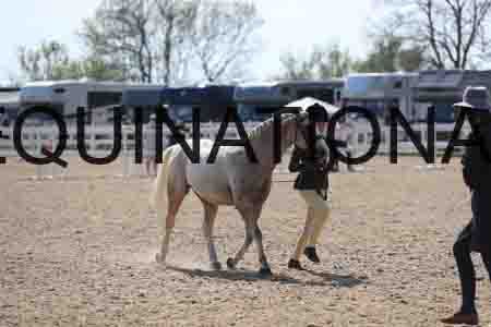 LOT-2174