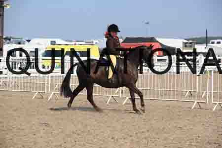 LOT-2232