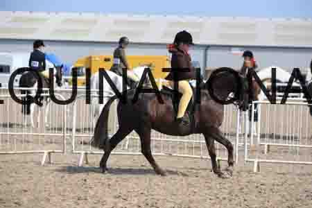 LOT-2233