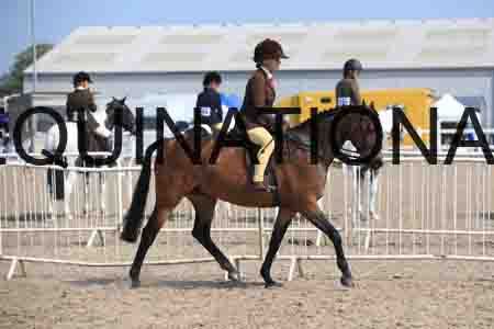 LOT-2238