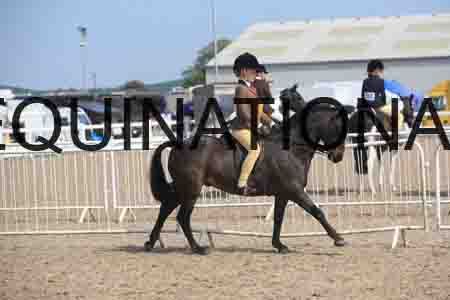 LOT-2240