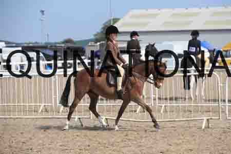 LOT-2243