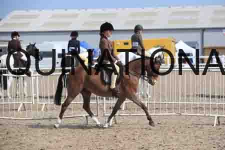 LOT-2244