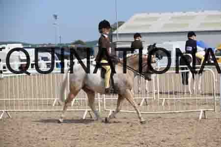 LOT-2245