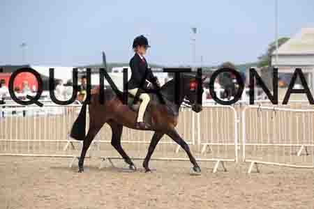 LOT-2248