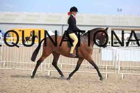 LOT-2254