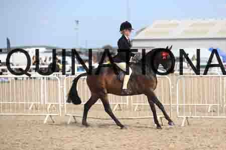 LOT-2262