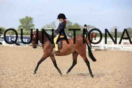 LOT-2271