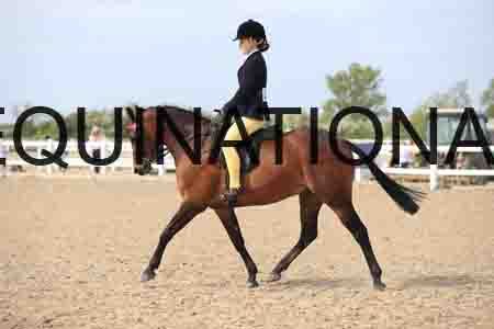 LOT-2274