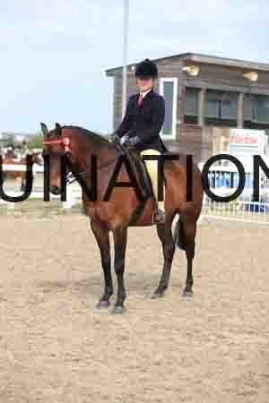 LOT-2278