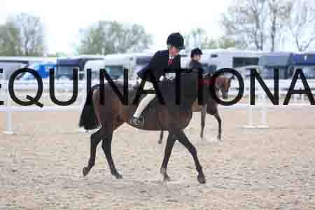 LOT-2297