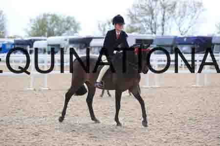 LOT-2298