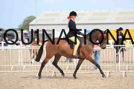 LOT-2321