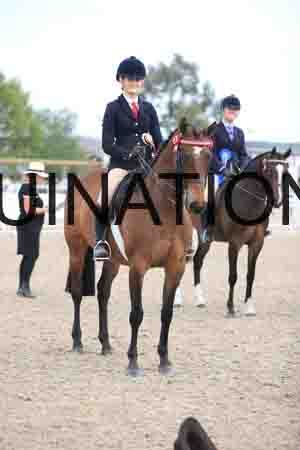 LOT-2364
