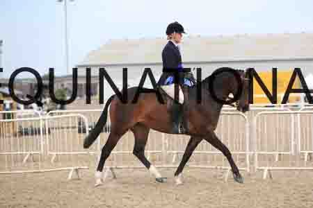 LOT-2392