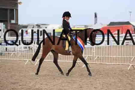 LOT-2431