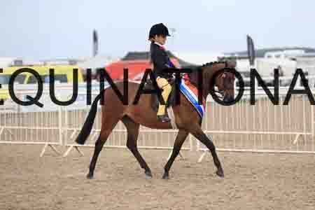 LOT-2432