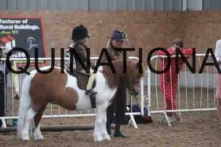 BCD-1045