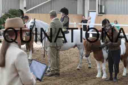 BCD-1119
