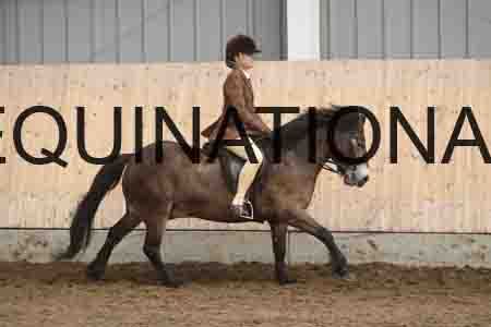 BCD-2233