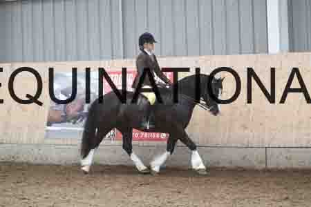 BCD-2363