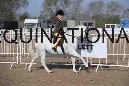 TIN-1007