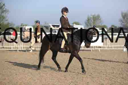TIN-1042