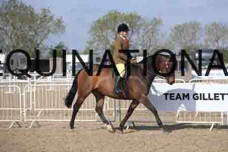 TIN-1344