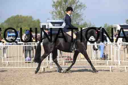 TIN-1463