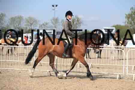 TIN-1477