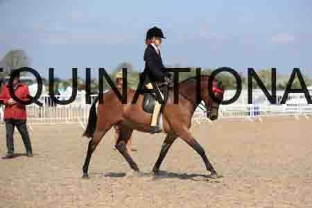 TIN-1720