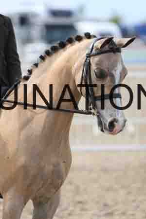 TIN-2306