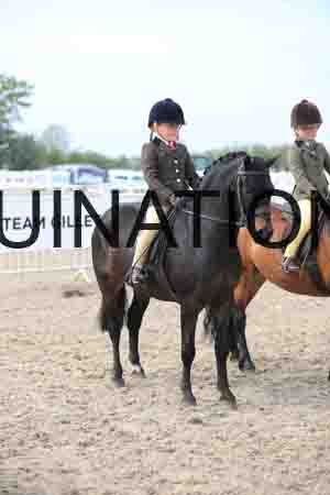 TIN-2328
