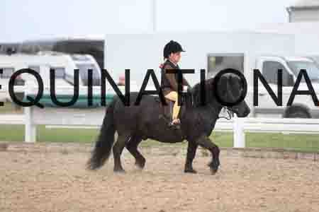 TIN-2487