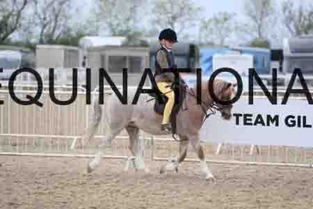 TIN-2735
