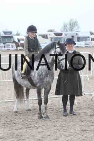 TIN-2878
