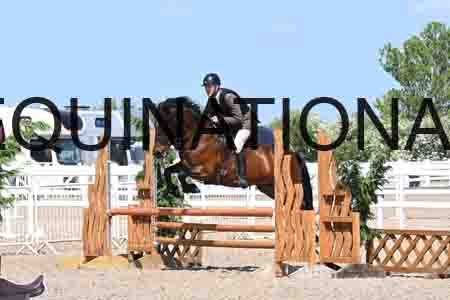 DEZ-1582