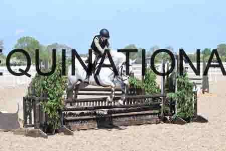 DEZ-1618