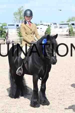 DEZ-1350